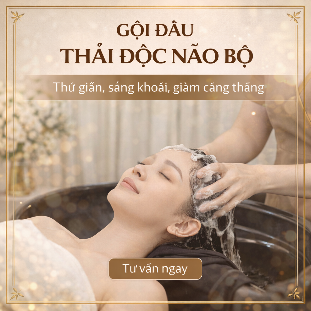 1571aa0f 8a16 4272 805f 56e8ccab8d38